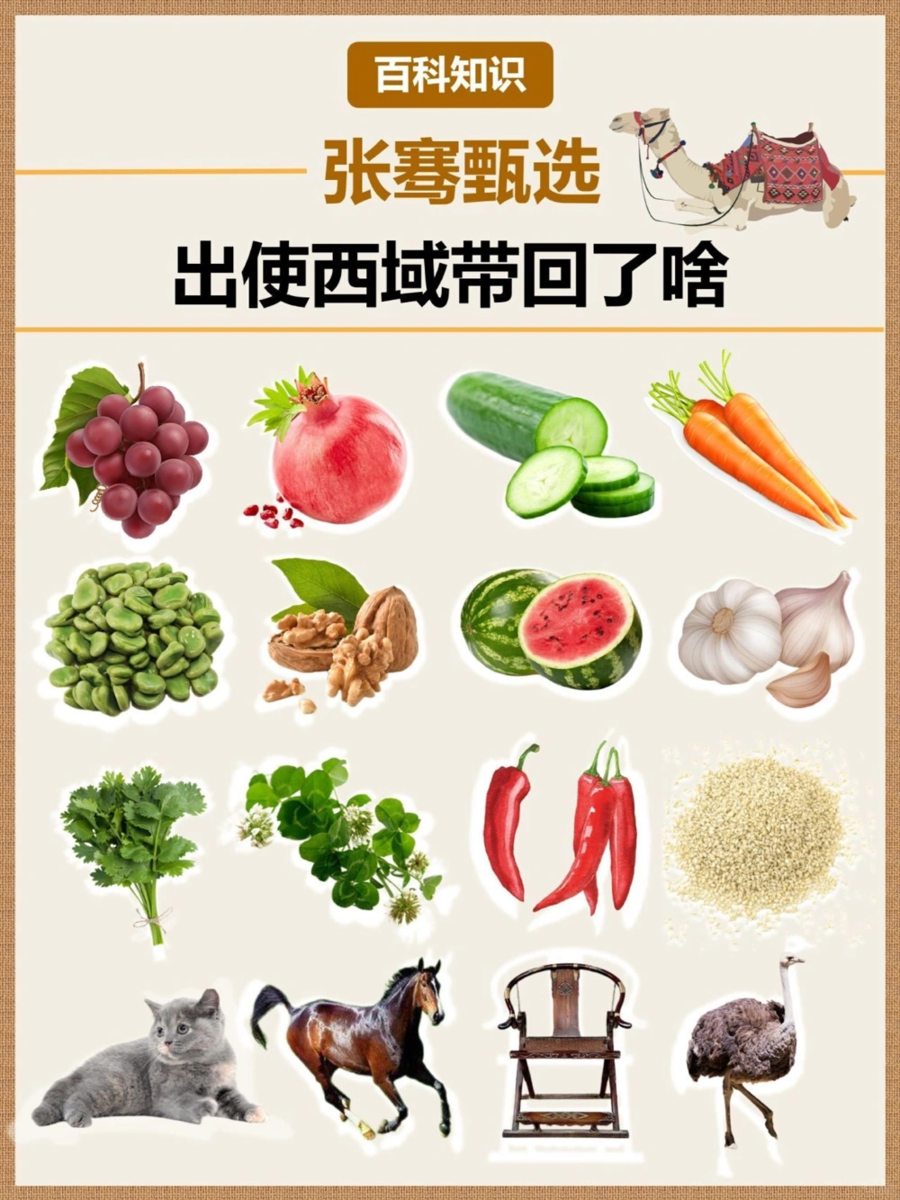 &ldquo;张骞优选&rdquo;出使西域带回了啥_中小学精品资料(高清可打印)_百科知识大全集312份高清资料整理版