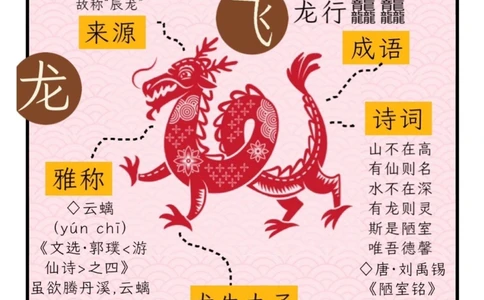 &ldquo;龙行龘龘&rdquo;春晚官宣！又双叒学到新字了_中小学精品资料(高清可打印)_常识知识大全集140份高清资料整理版