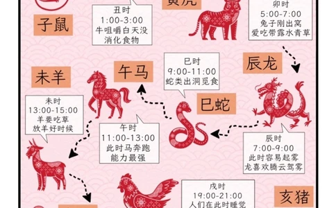 &ldquo;龙行龘龘&rdquo;春晚官宣！又双叒学到新字了_中小学精品资料(高清可打印)_常识知识大全集140份高清资料整理版