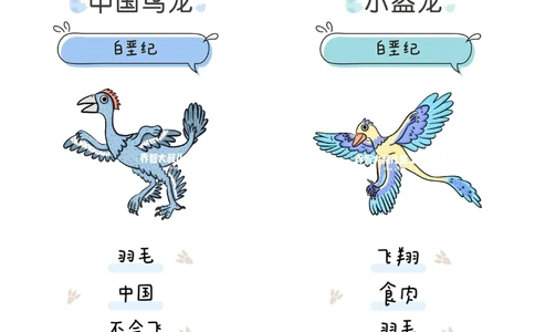 一天一个小百科&mdash;&mdash;恐龙图鉴（三）_中小学精品资料(高清可打印)_百科知识大全集312份高清资料整理版