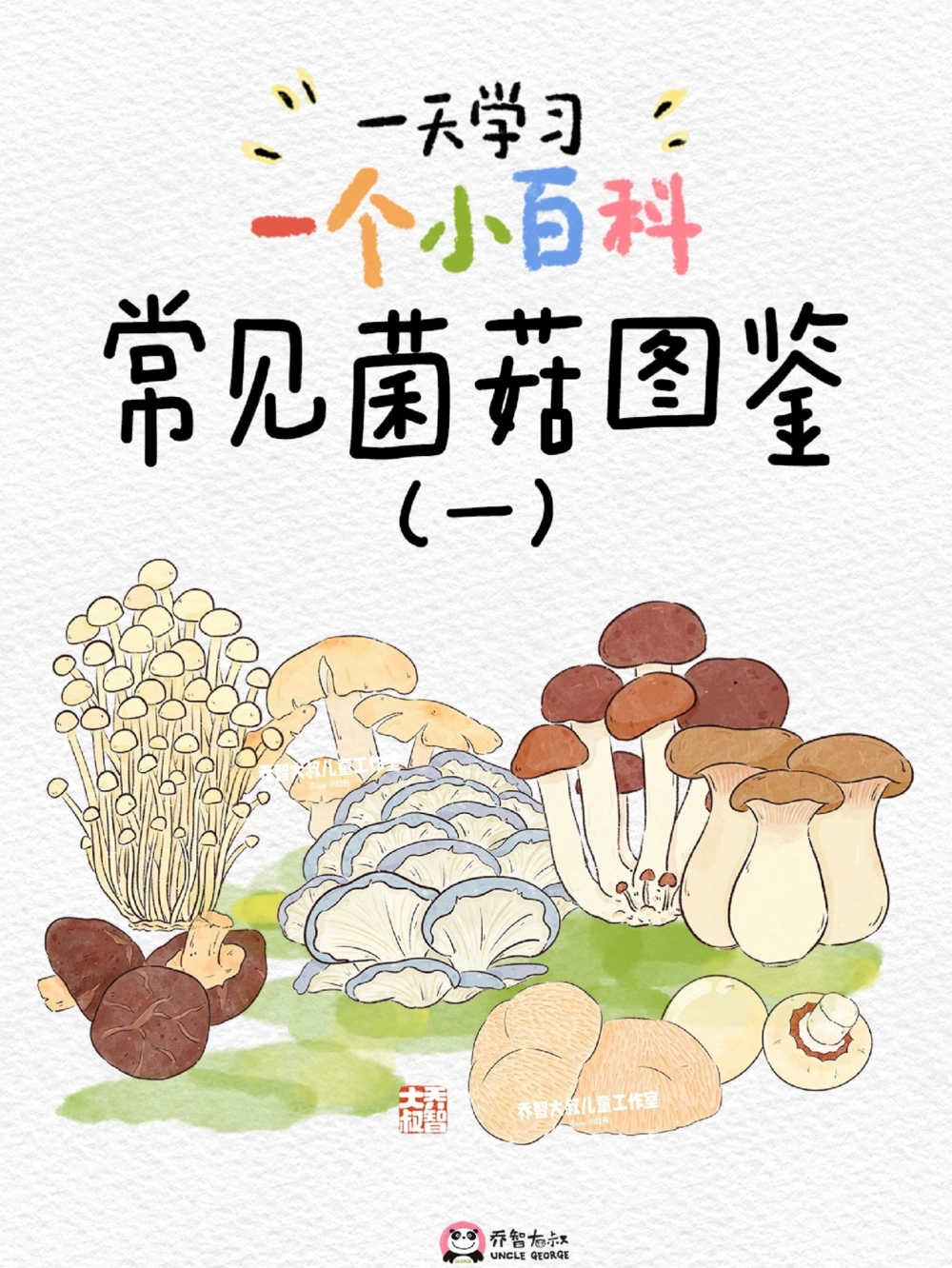 一天学习一个小百科&mdash;常见菌菇图鉴（一）_中小学精品资料(高清可打印)_百科知识大全集312份高清资料整理版