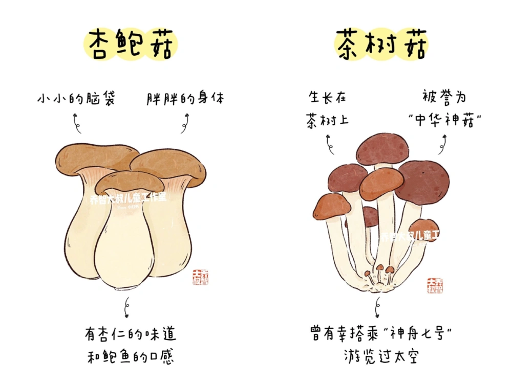 一天学习一个小百科&mdash;常见菌菇图鉴（一）_中小学精品资料(高清可打印)_百科知识大全集312份高清资料整理版