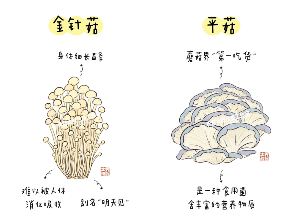 一天学习一个小百科&mdash;常见菌菇图鉴（一）_中小学精品资料(高清可打印)_百科知识大全集312份高清资料整理版
