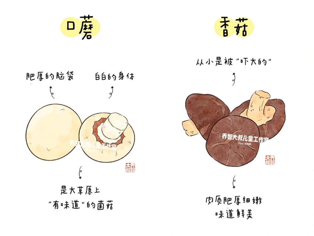 一天学习一个小百科&mdash;常见菌菇图鉴（一）_中小学精品资料(高清可打印)_百科知识大全集312份高清资料整理版