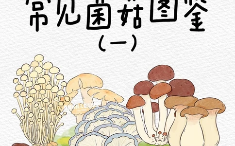 一天学习一个小百科&mdash;常见菌菇图鉴（一）_中小学精品资料(高清可打印)_百科知识大全集312份高清资料整理版