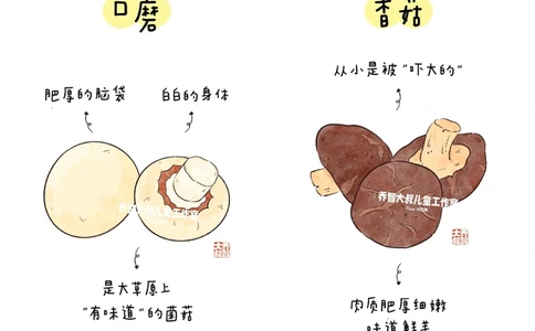 一天学习一个小百科&mdash;常见菌菇图鉴（一）_中小学精品资料(高清可打印)_百科知识大全集312份高清资料整理版