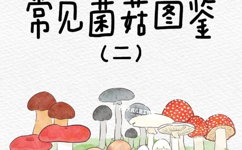 一天学习一个小百科&mdash;常见菌菇图鉴（二）_中小学精品资料(高清可打印)_百科知识大全集312份高清资料整理版