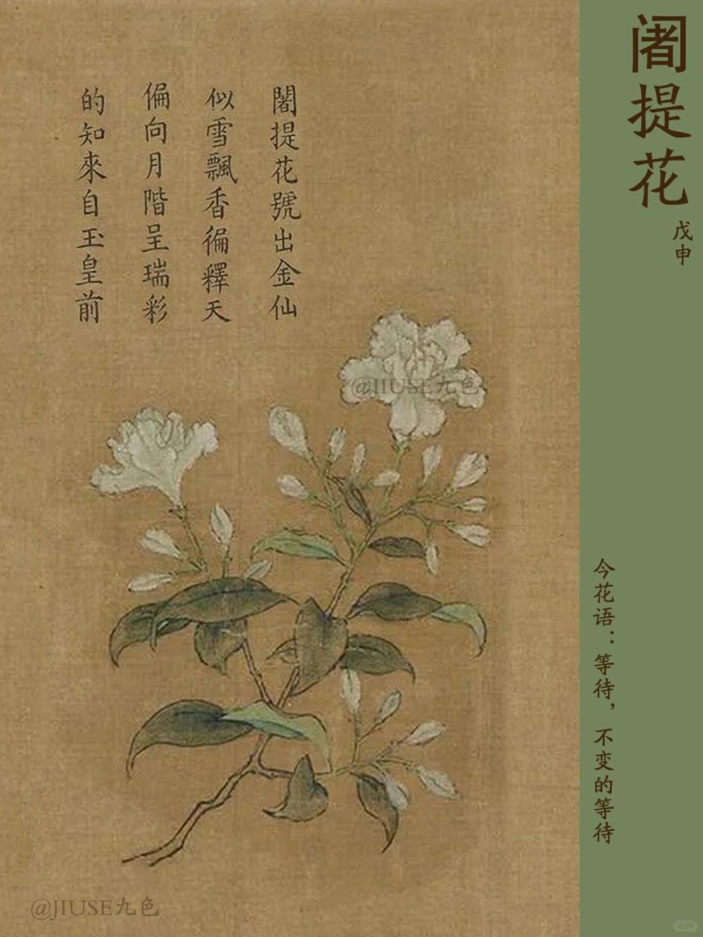 700年前花语中的中式浪漫_中小学精品资料(高清可打印)_古文化大全集628份高清资料整理版