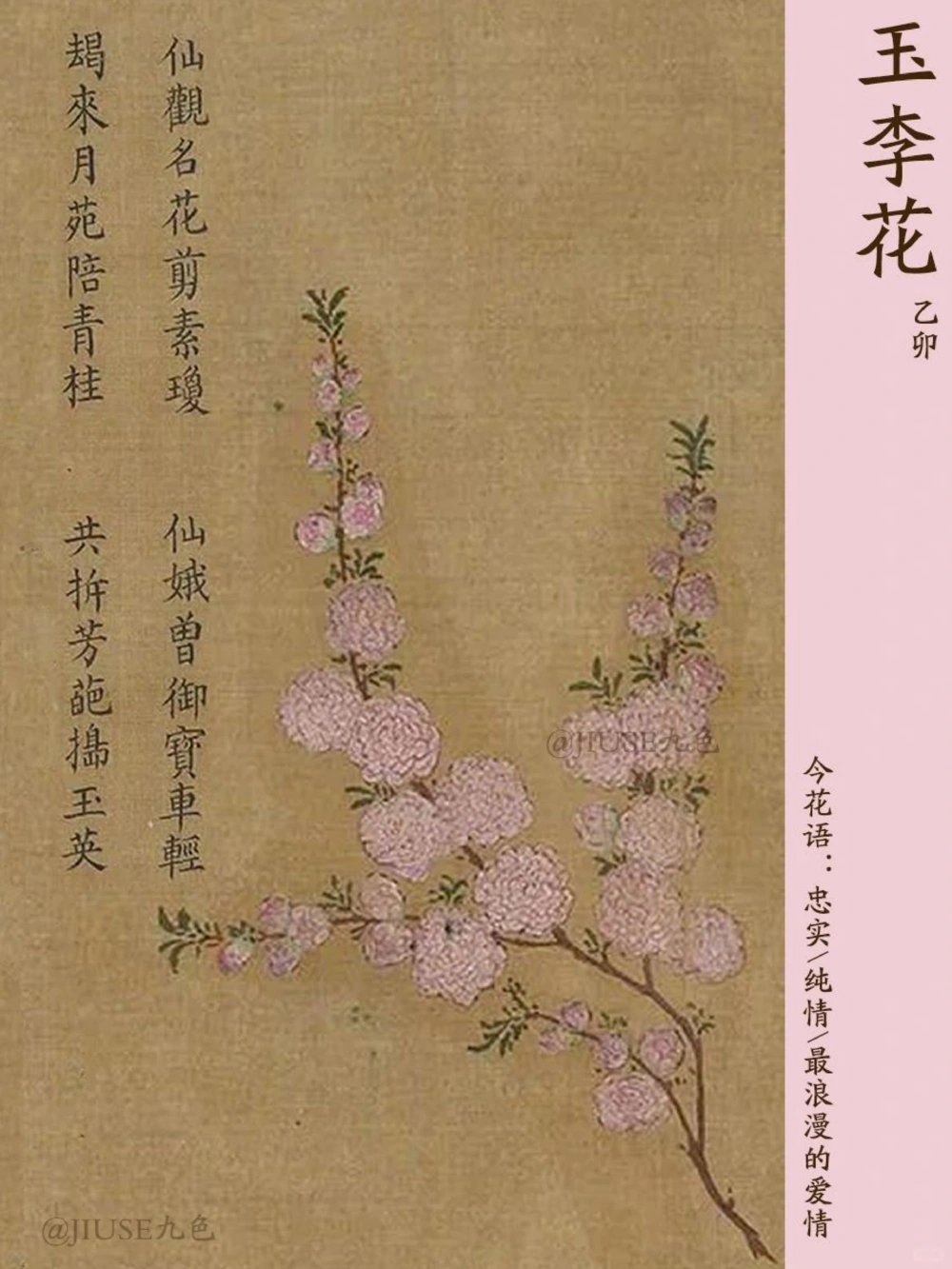 700年前花语中的中式浪漫_中小学精品资料(高清可打印)_古文化大全集628份高清资料整理版