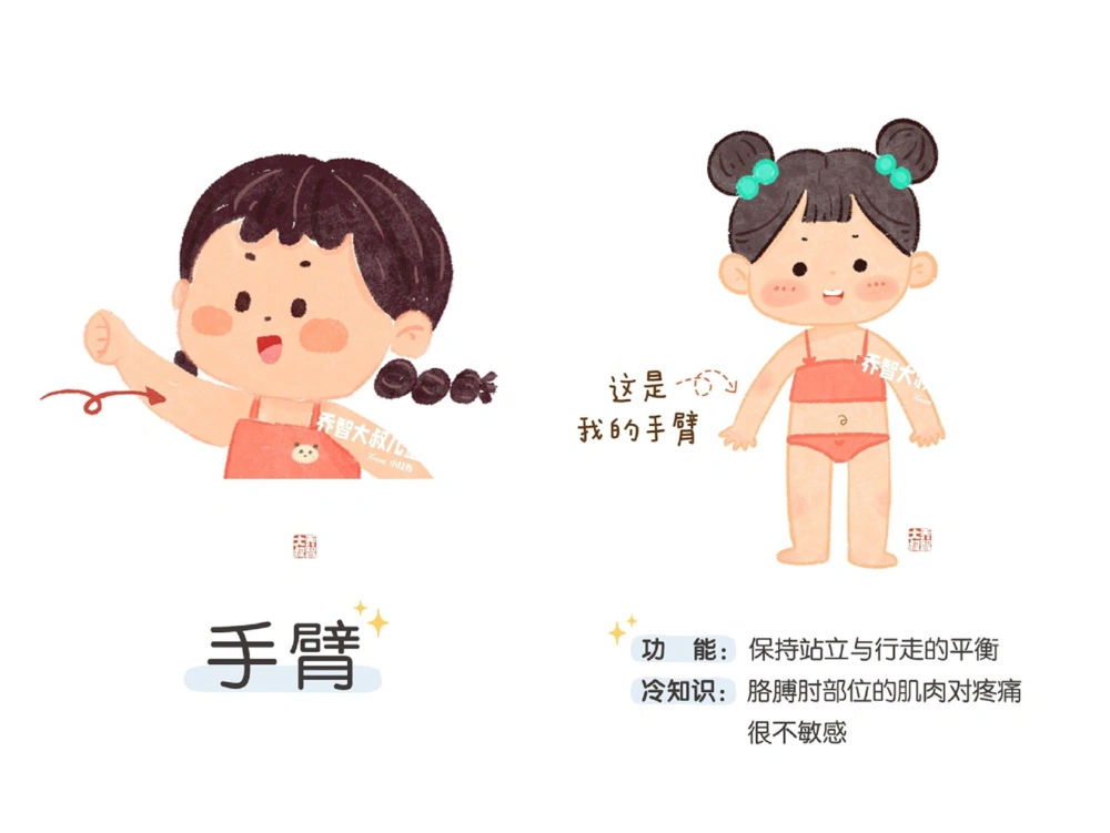 一天一个小百科&mdash;身体认知科普启蒙（二）_中小学精品资料(高清可打印)_百科知识大全集312份高清资料整理版