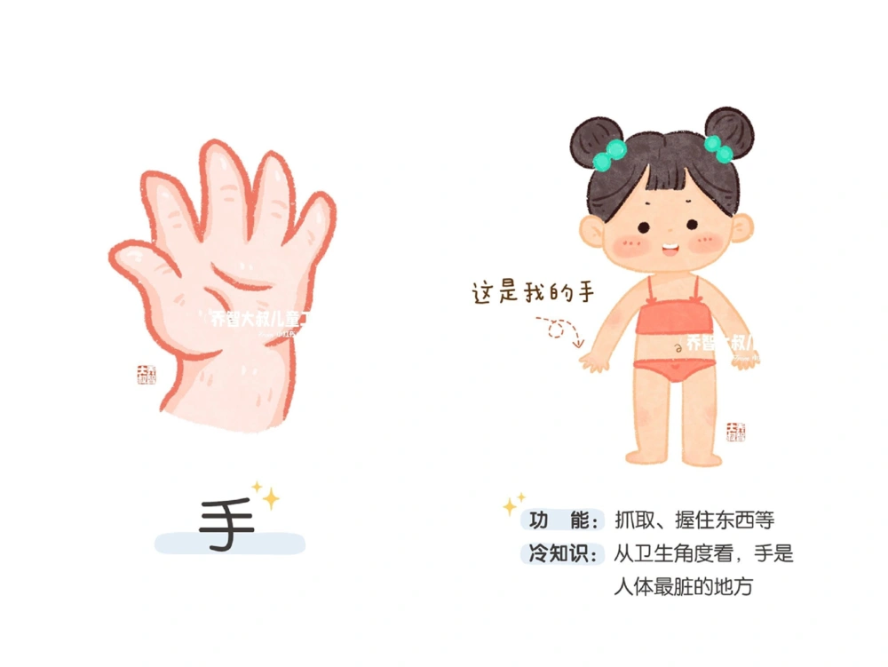 一天一个小百科&mdash;身体认知科普启蒙（二）_中小学精品资料(高清可打印)_百科知识大全集312份高清资料整理版