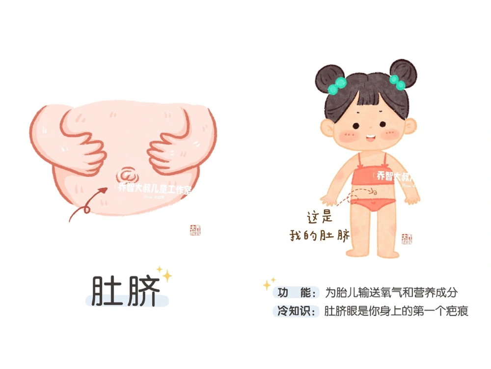 一天一个小百科&mdash;身体认知科普启蒙（二）_中小学精品资料(高清可打印)_百科知识大全集312份高清资料整理版