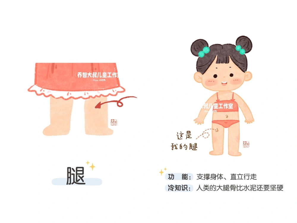 一天一个小百科&mdash;身体认知科普启蒙（二）_中小学精品资料(高清可打印)_百科知识大全集312份高清资料整理版