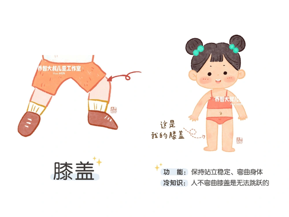 一天一个小百科&mdash;身体认知科普启蒙（二）_中小学精品资料(高清可打印)_百科知识大全集312份高清资料整理版