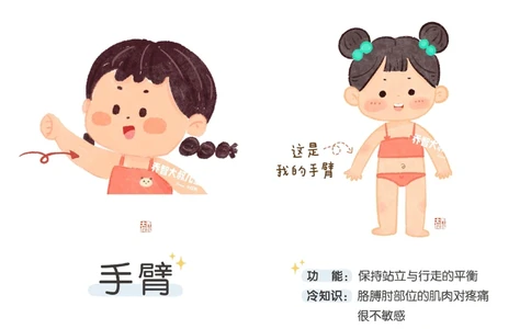 一天一个小百科&mdash;身体认知科普启蒙（二）_中小学精品资料(高清可打印)_百科知识大全集312份高清资料整理版