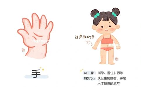 一天一个小百科&mdash;身体认知科普启蒙（二）_中小学精品资料(高清可打印)_百科知识大全集312份高清资料整理版