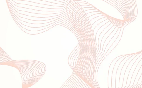 003.素雅粉红_表格式_适用于应届生_2页式_无内容_无封面_26考研复试_考研复试资料合集26_考研经典面试系列（复试技巧调剂指导口语指导自我介绍导师模板）_简历模板大全