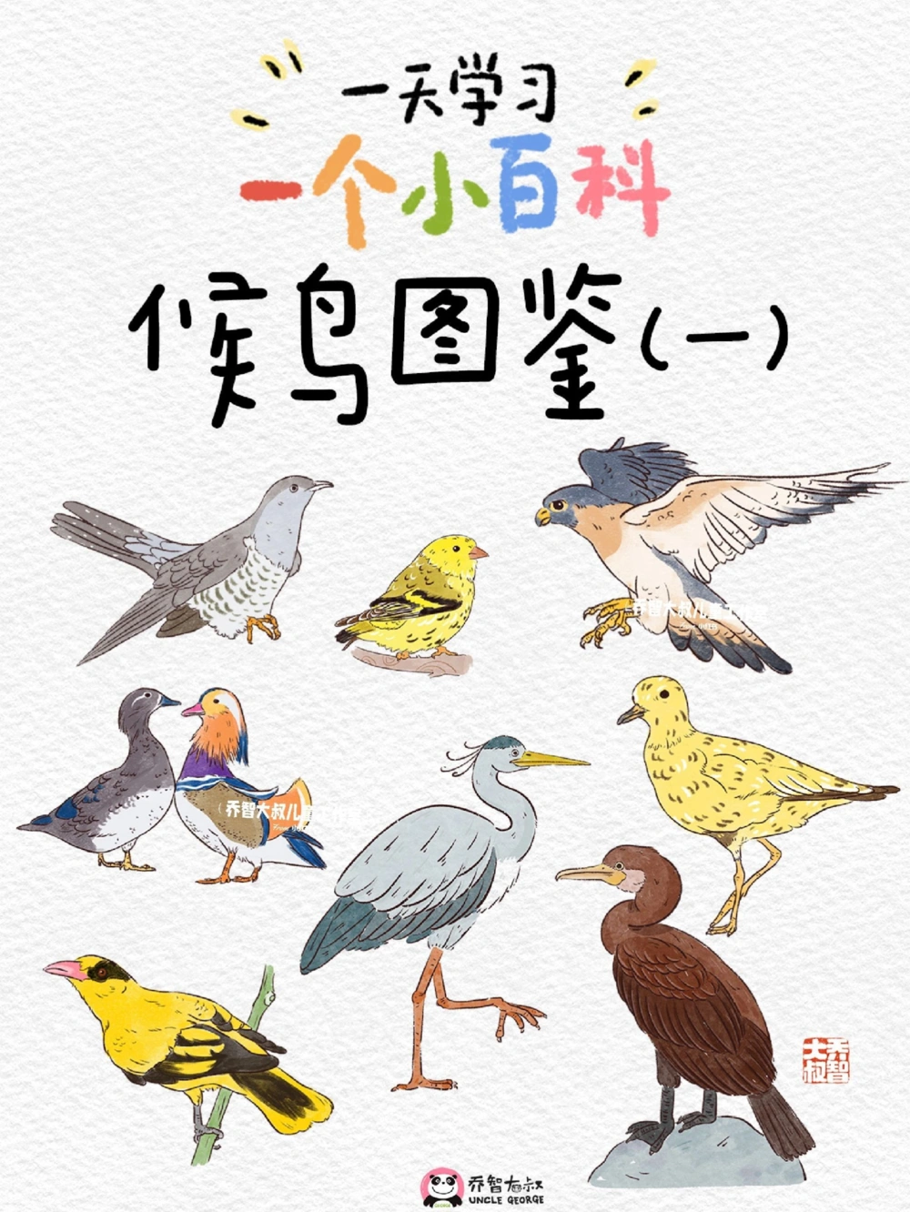 一天一个小百科&mdash;候鸟图鉴_中小学精品资料(高清可打印)_百科知识大全集312份高清资料整理版