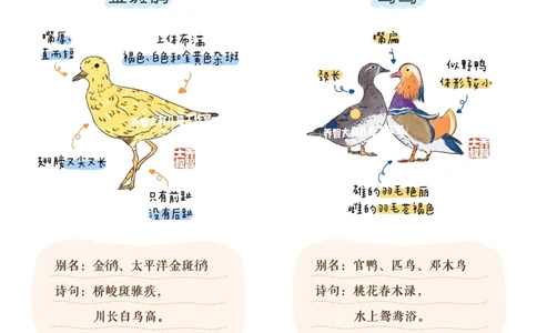 一天一个小百科&mdash;候鸟图鉴_中小学精品资料(高清可打印)_百科知识大全集312份高清资料整理版