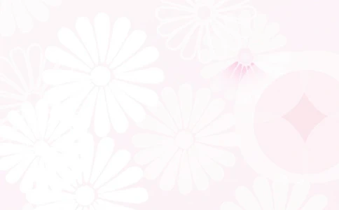 005.素雅粉色_表格式_适用于应届生_2页式_无内容_无封面_26考研复试_10考研复试资料25_考研经典面试系列（复试技巧调剂指导口语指导自我介绍导师模板）_简历模板大全