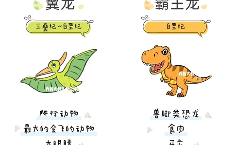 一天一个小百科&mdash;常见恐龙图鉴（一）_中小学精品资料(高清可打印)_百科知识大全集312份高清资料整理版