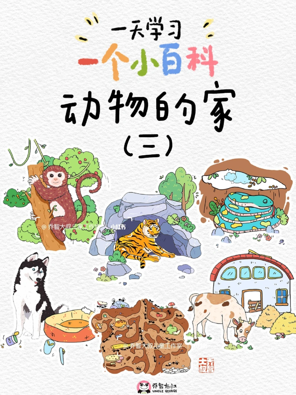 一天一个小百科&mdash;&mdash;动物的家（三）_中小学精品资料(高清可打印)_百科知识大全集312份高清资料整理版