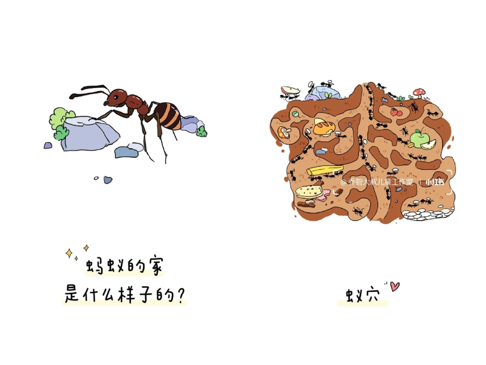 一天一个小百科&mdash;&mdash;动物的家（三）_中小学精品资料(高清可打印)_百科知识大全集312份高清资料整理版