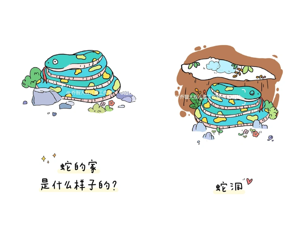 一天一个小百科&mdash;&mdash;动物的家（三）_中小学精品资料(高清可打印)_百科知识大全集312份高清资料整理版