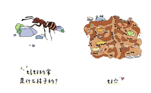 一天一个小百科&mdash;&mdash;动物的家（三）_中小学精品资料(高清可打印)_百科知识大全集312份高清资料整理版