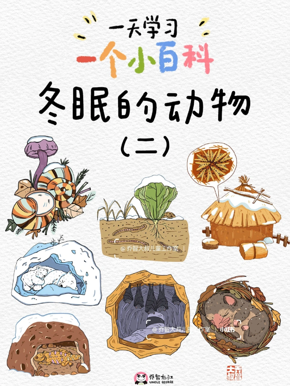 一天一个小百科&mdash;&mdash;冬眠的动物（二）_中小学精品资料(高清可打印)_百科知识大全集312份高清资料整理版