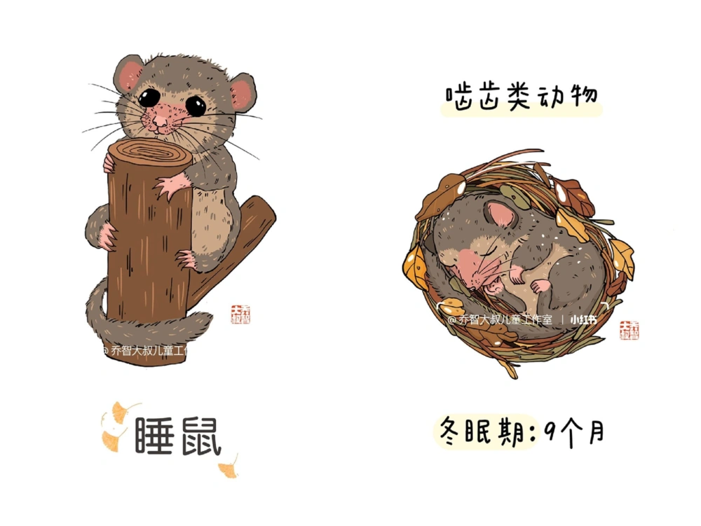 一天一个小百科&mdash;&mdash;冬眠的动物（二）_中小学精品资料(高清可打印)_百科知识大全集312份高清资料整理版