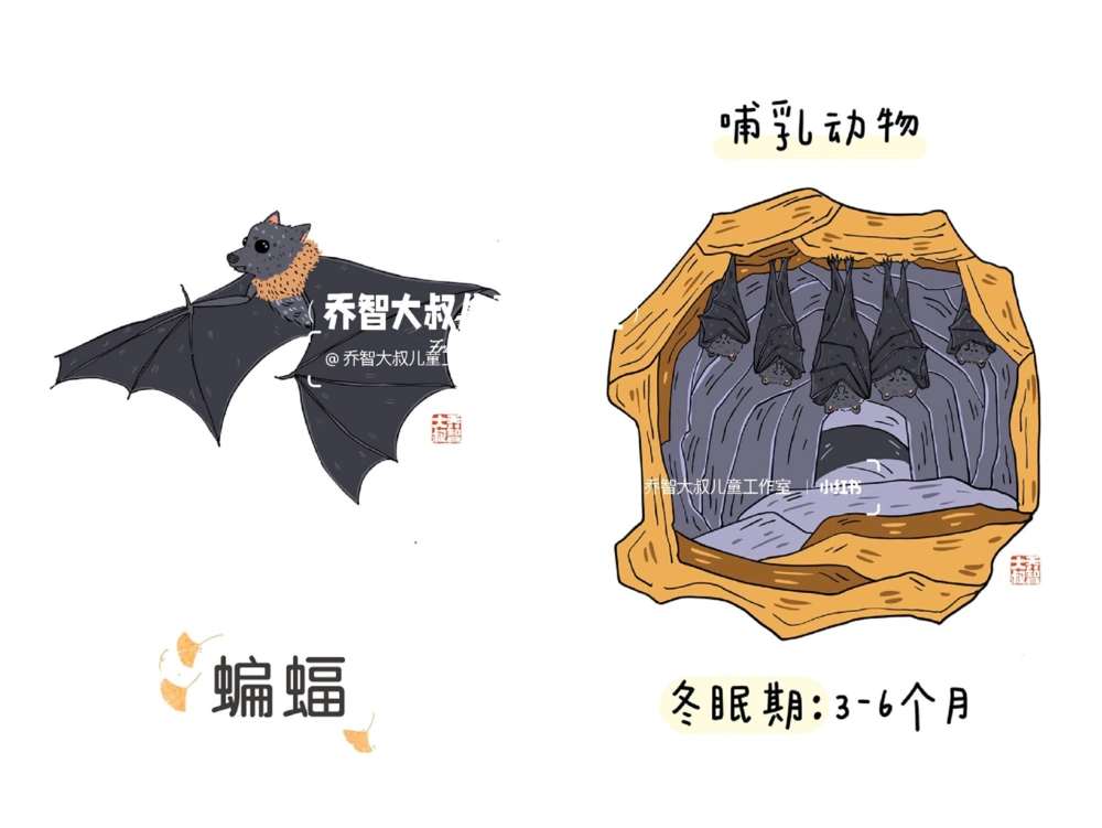 一天一个小百科&mdash;&mdash;冬眠的动物（二）_中小学精品资料(高清可打印)_百科知识大全集312份高清资料整理版