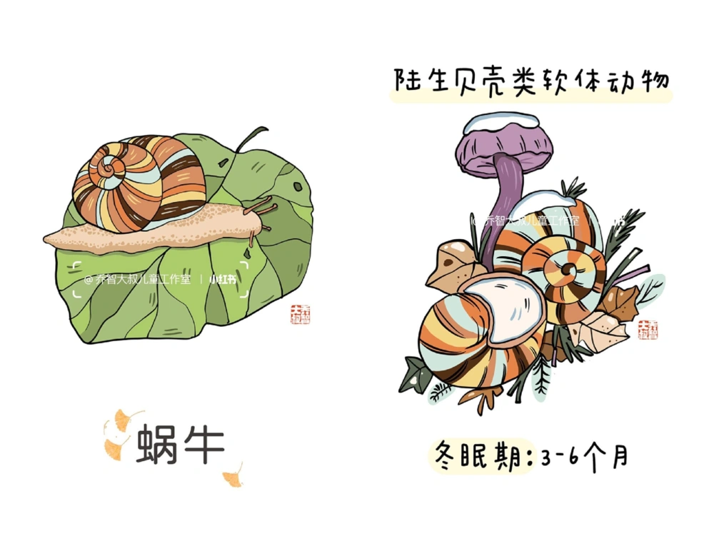 一天一个小百科&mdash;&mdash;冬眠的动物（二）_中小学精品资料(高清可打印)_百科知识大全集312份高清资料整理版