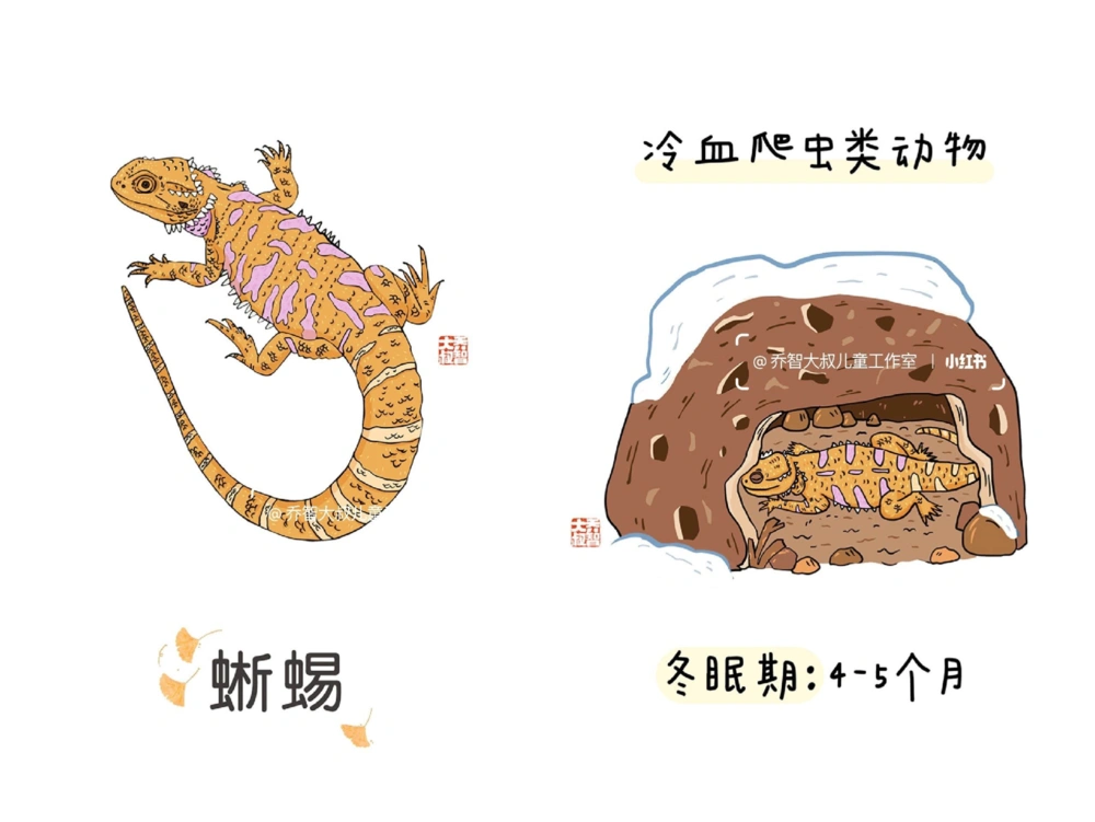 一天一个小百科&mdash;&mdash;冬眠的动物（二）_中小学精品资料(高清可打印)_百科知识大全集312份高清资料整理版