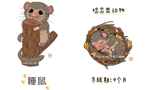 一天一个小百科&mdash;&mdash;冬眠的动物（二）_中小学精品资料(高清可打印)_百科知识大全集312份高清资料整理版