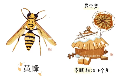 一天一个小百科&mdash;&mdash;冬眠的动物（二）_中小学精品资料(高清可打印)_百科知识大全集312份高清资料整理版