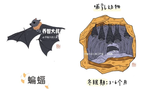 一天一个小百科&mdash;&mdash;冬眠的动物（二）_中小学精品资料(高清可打印)_百科知识大全集312份高清资料整理版