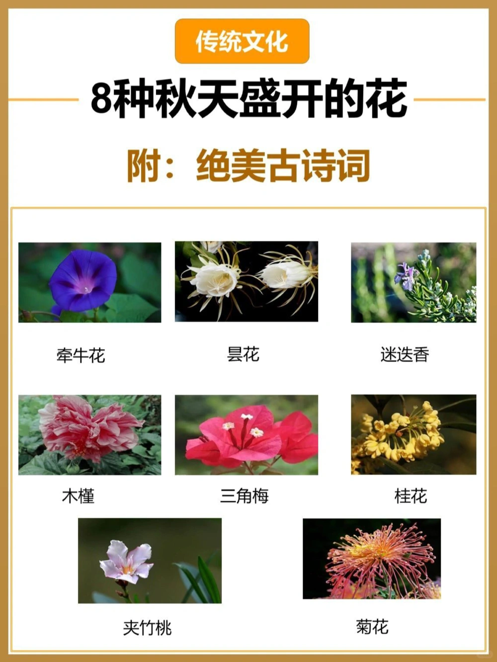 8首秋天&ldquo;花&rdquo;的诗词&zwj;中国古人的浪漫_中小学精品资料(高清可打印)_古文化大全集628份高清资料整理版