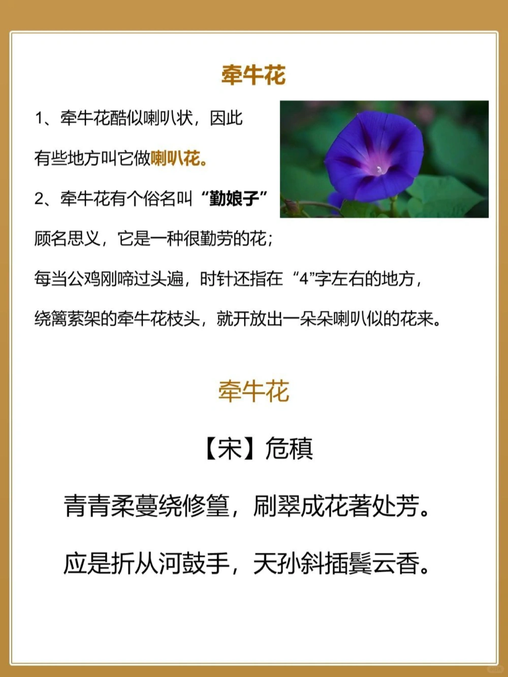 8首秋天&ldquo;花&rdquo;的诗词&zwj;中国古人的浪漫_中小学精品资料(高清可打印)_古文化大全集628份高清资料整理版
