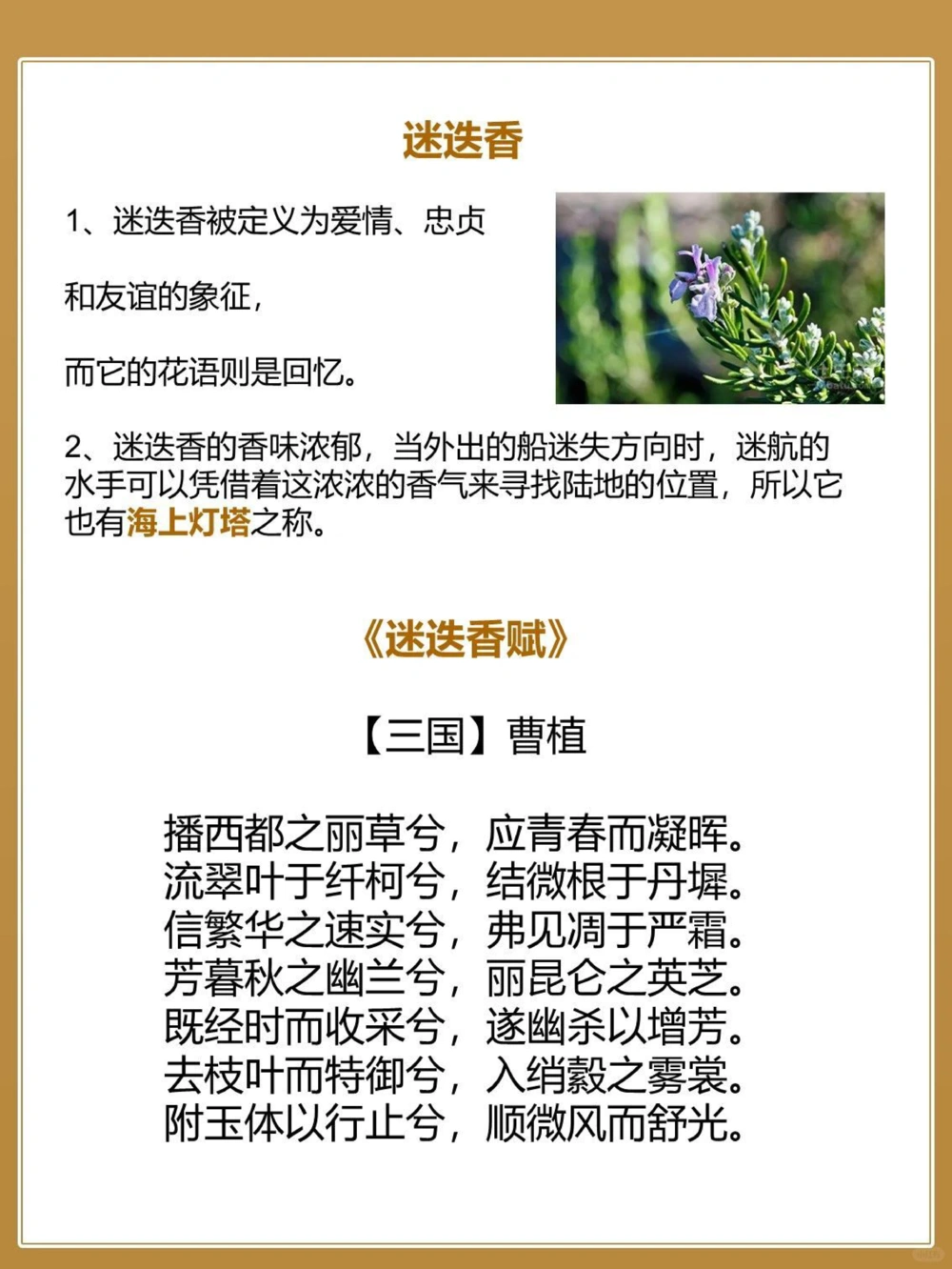 8首秋天&ldquo;花&rdquo;的诗词&zwj;中国古人的浪漫_中小学精品资料(高清可打印)_古文化大全集628份高清资料整理版