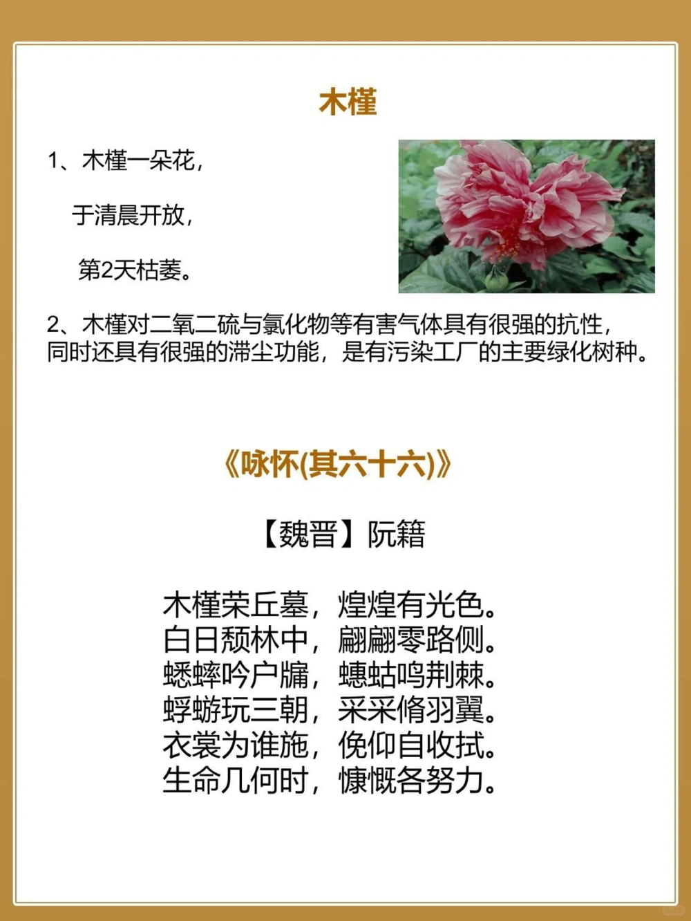 8首秋天&ldquo;花&rdquo;的诗词&zwj;中国古人的浪漫_中小学精品资料(高清可打印)_古文化大全集628份高清资料整理版