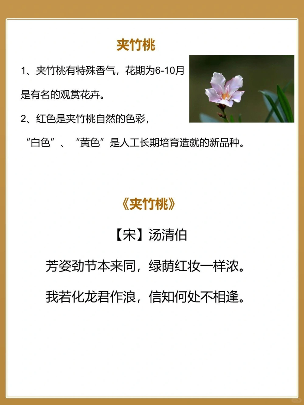 8首秋天&ldquo;花&rdquo;的诗词&zwj;中国古人的浪漫_中小学精品资料(高清可打印)_古文化大全集628份高清资料整理版