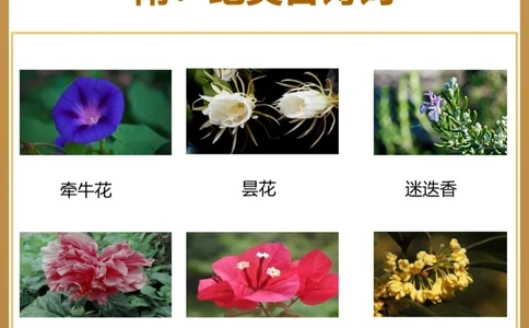8首秋天&ldquo;花&rdquo;的诗词&zwj;中国古人的浪漫_中小学精品资料(高清可打印)_古文化大全集628份高清资料整理版