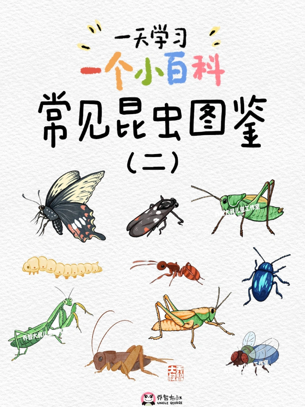 一天一个小百科&mdash;常见昆虫图鉴（二）_中小学精品资料(高清可打印)_百科知识大全集312份高清资料整理版