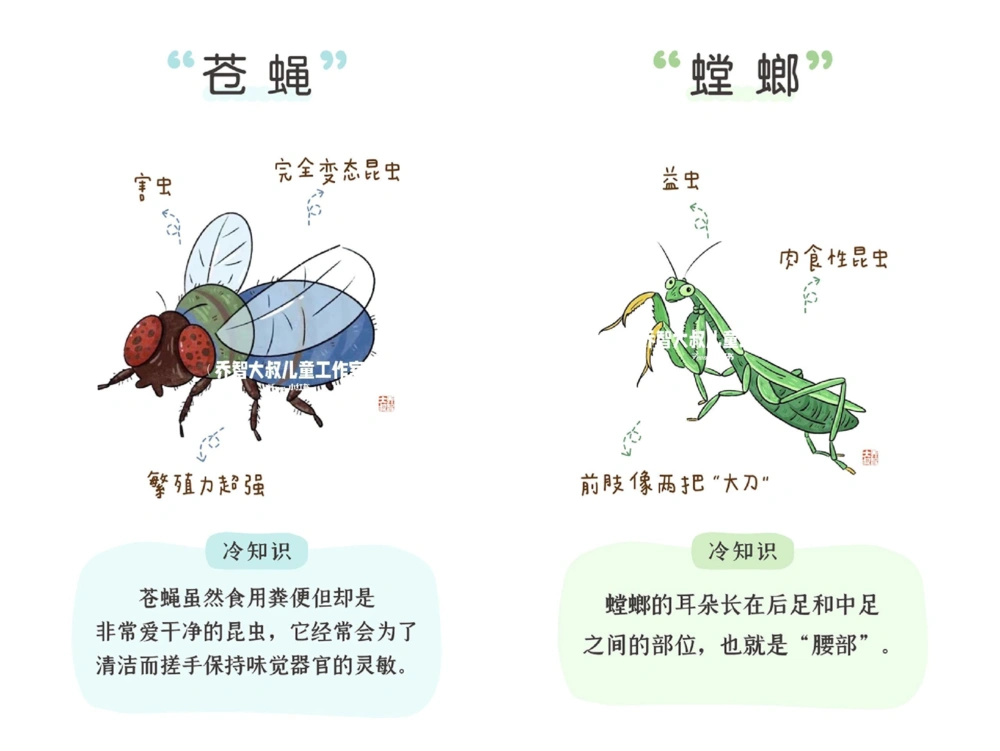 一天一个小百科&mdash;常见昆虫图鉴（二）_中小学精品资料(高清可打印)_百科知识大全集312份高清资料整理版