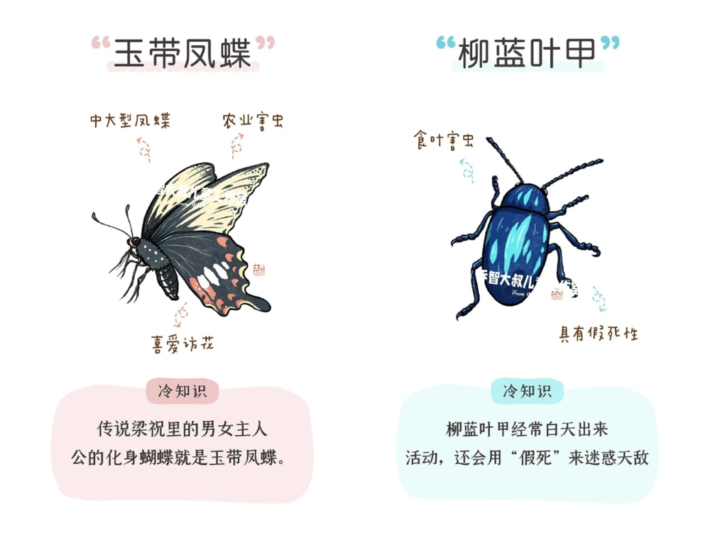 一天一个小百科&mdash;常见昆虫图鉴（二）_中小学精品资料(高清可打印)_百科知识大全集312份高清资料整理版