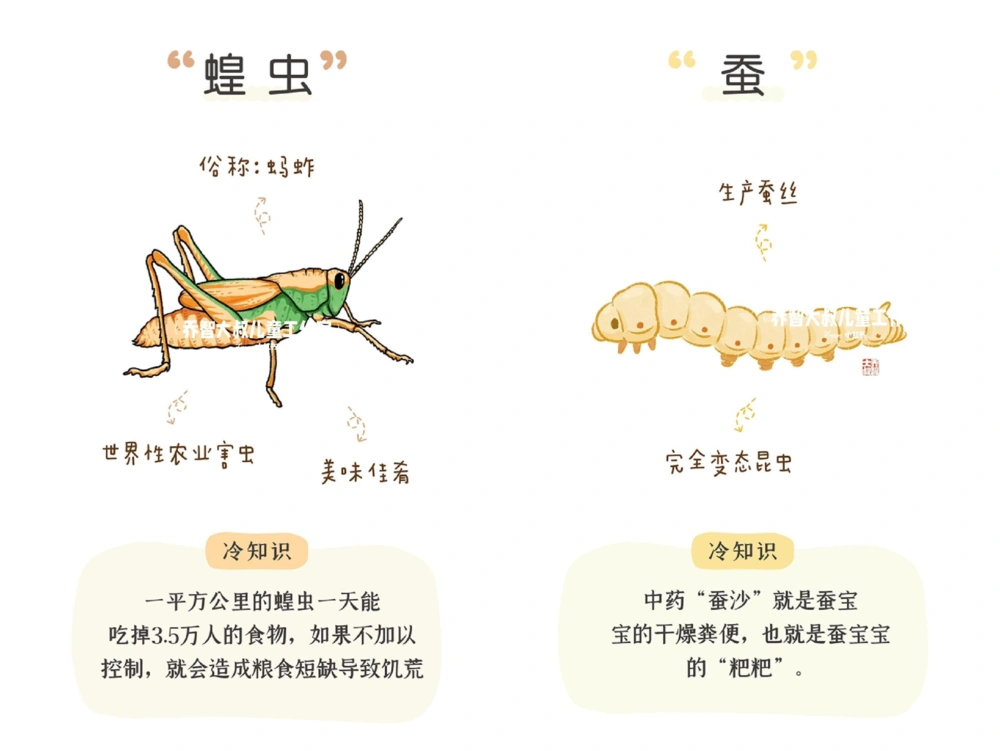 一天一个小百科&mdash;常见昆虫图鉴（二）_中小学精品资料(高清可打印)_百科知识大全集312份高清资料整理版