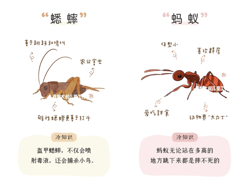 一天一个小百科&mdash;常见昆虫图鉴（二）_中小学精品资料(高清可打印)_百科知识大全集312份高清资料整理版