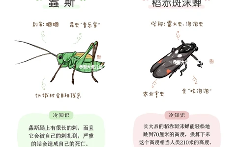 一天一个小百科&mdash;常见昆虫图鉴（二）_中小学精品资料(高清可打印)_百科知识大全集312份高清资料整理版