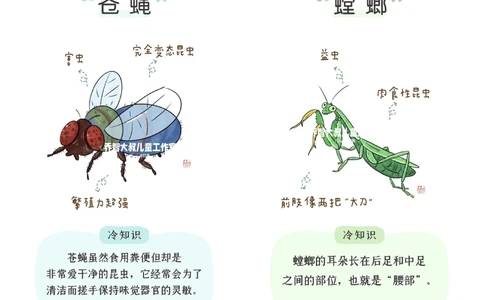 一天一个小百科&mdash;常见昆虫图鉴（二）_中小学精品资料(高清可打印)_百科知识大全集312份高清资料整理版